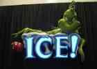 ICE 2009
